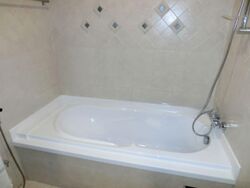 Cairnhill Plaza (D9), Apartment #553805881